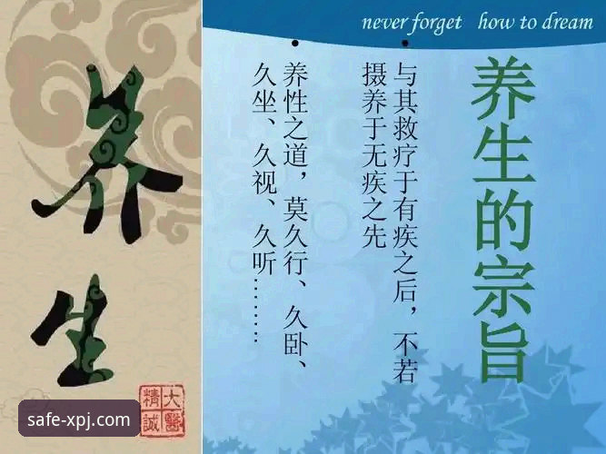 掌握新莆京无忧体验功能的关键：实用指南与必备知识