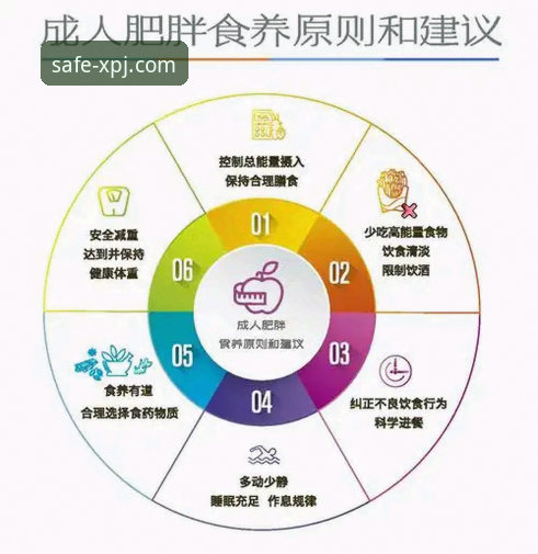 新莆京体育平台2024全面解析：官方入口最新版获取与安全访问指南